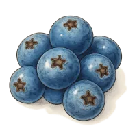 The Blueberry