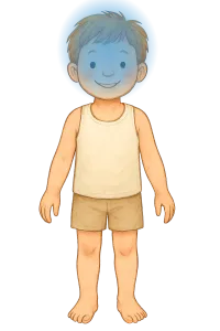 The Head