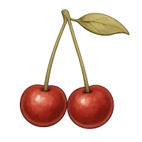 The Cherry