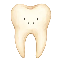 The Tooth