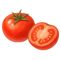 El Tomate