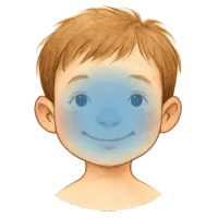 The Face