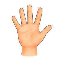 The Hand