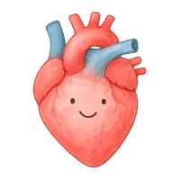 The Heart