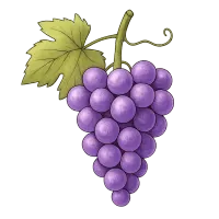 The Grape