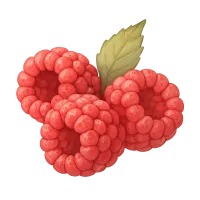 The Raspberry
