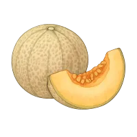 The Melon