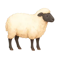 La Pecora