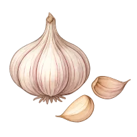 El Ajo