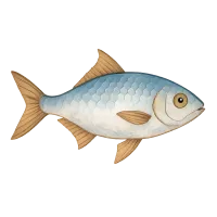 El Pez