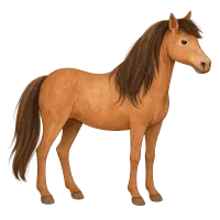 Il Cavallo
