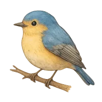 L' Uccello
