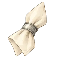 The Napkin