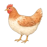 El Pollo