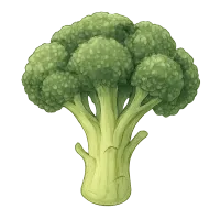 The Broccoli